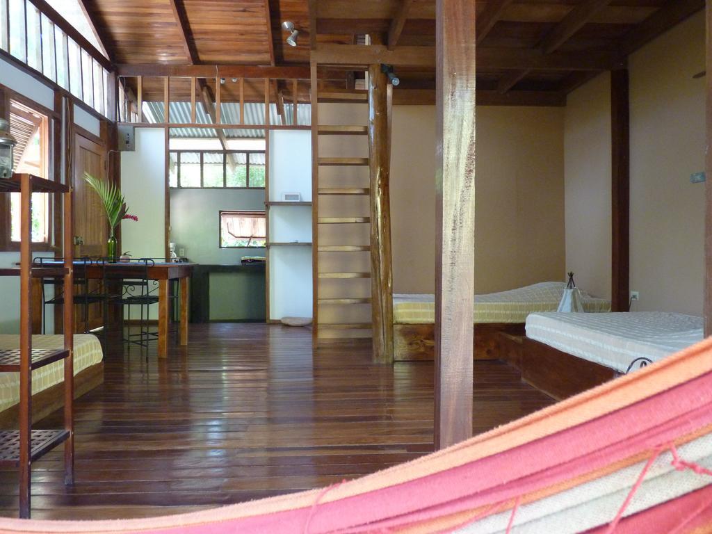 Hotel Luz De Luna Playa Santa Teresa  Kültér fotó
